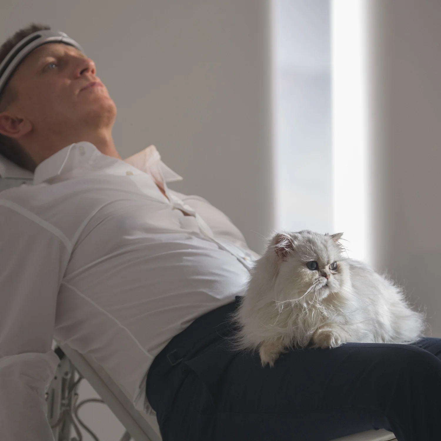 James Bond Blofeld's Cat Tree Decoration - Image 2