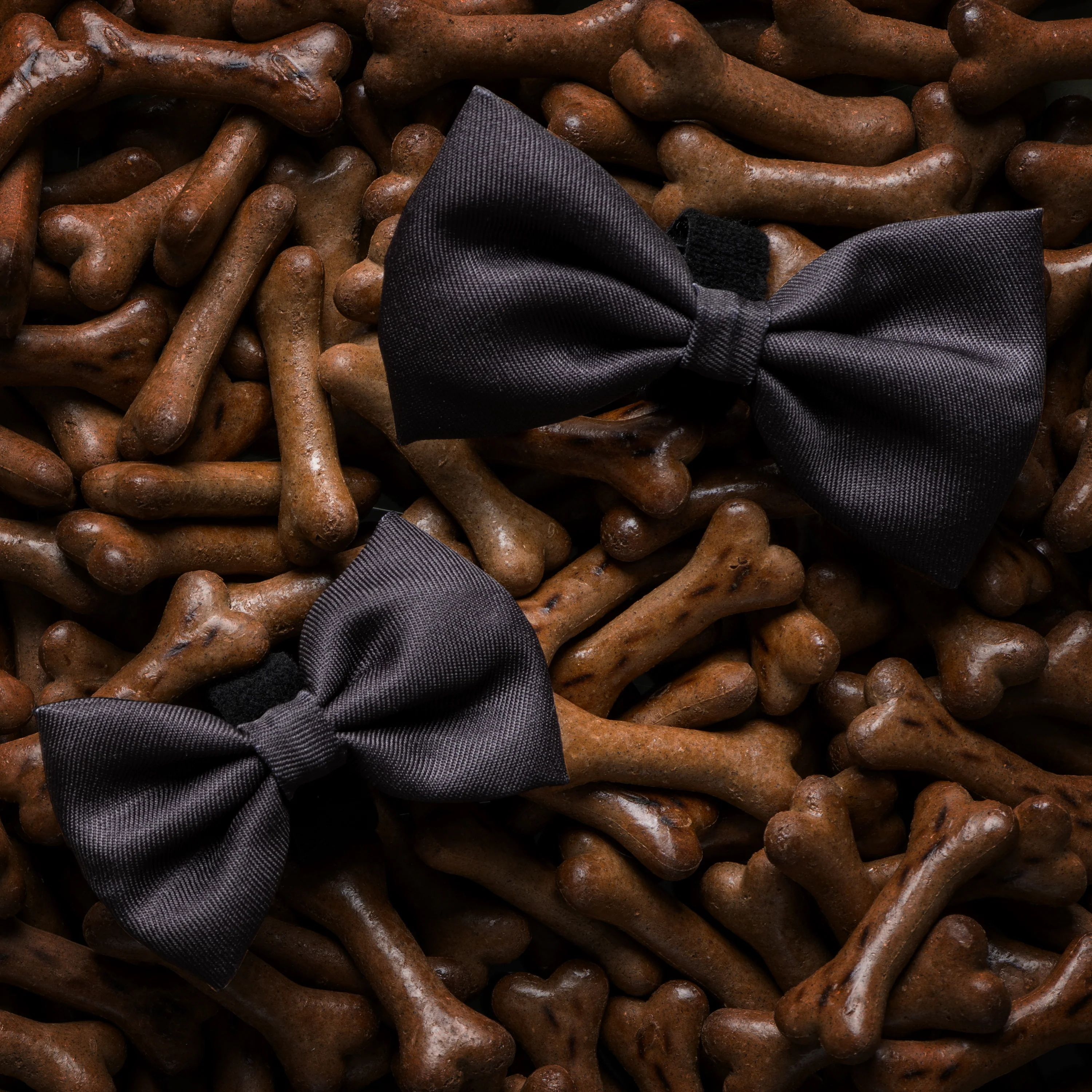 James Bond Pet Bow Tie (Outlet Item) - Image 5