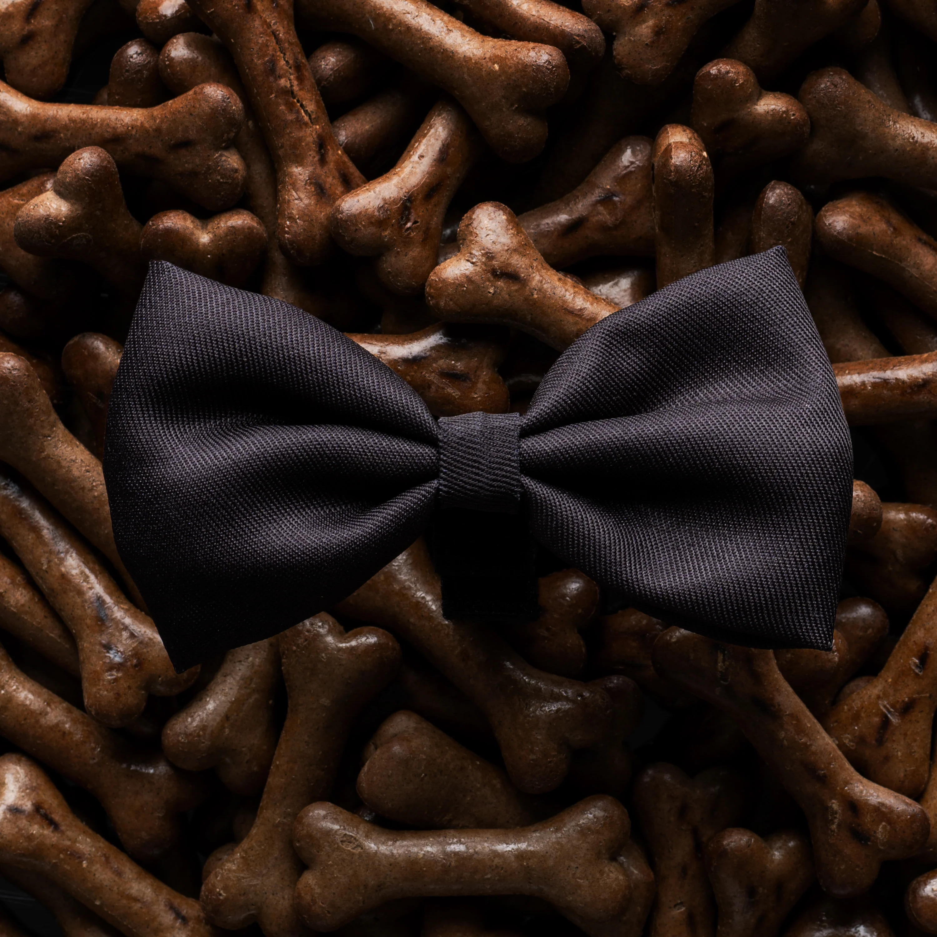 James Bond Pet Bow Tie (Outlet Item) - Image 7